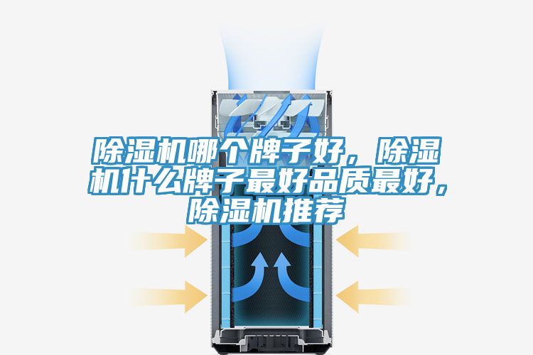 除濕機哪個牌子好，除濕機什么牌子最好品質最好，除濕機推薦