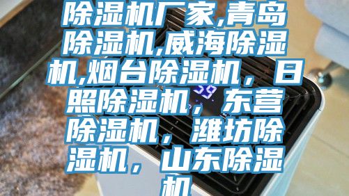 除濕機廠家,青島除濕機,威海除濕機,煙臺除濕機，日照除濕機，東營除濕機，濰坊除濕機，山東除濕機