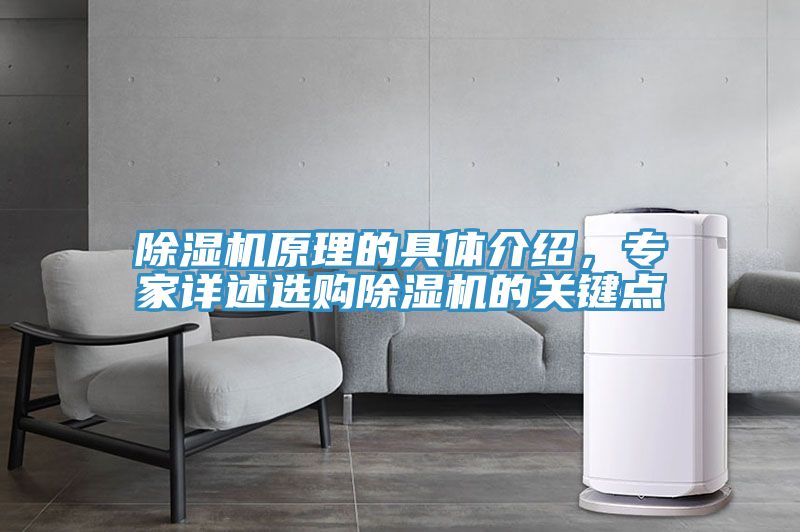 除濕機原理的具體介紹，專家詳述選購除濕機的關鍵點