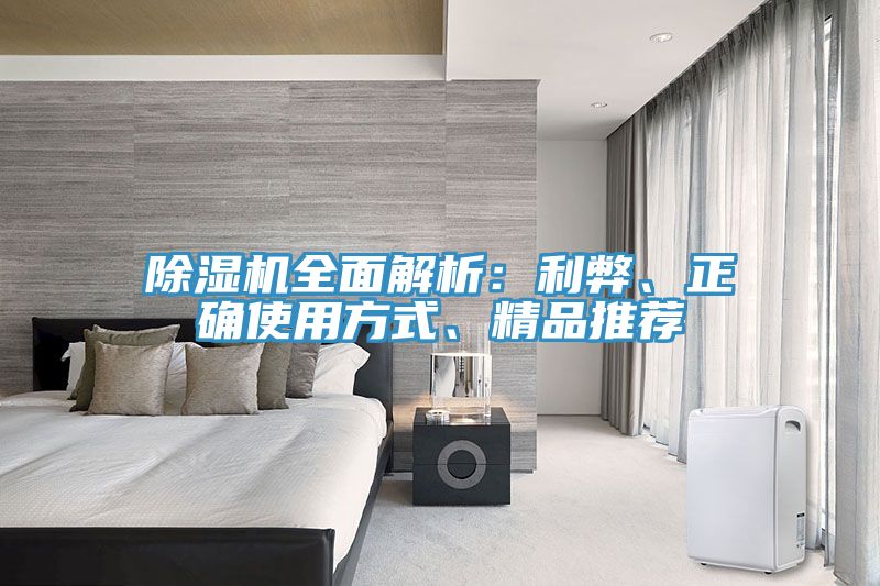 除濕機(jī)全面解析:利弊、正確使用方式、精品推薦