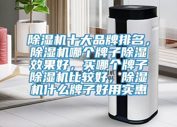 除濕機十大品牌排名，除濕機哪個牌子除濕效果好，買哪個牌子除濕機比較好，除濕機什么牌子好用實惠