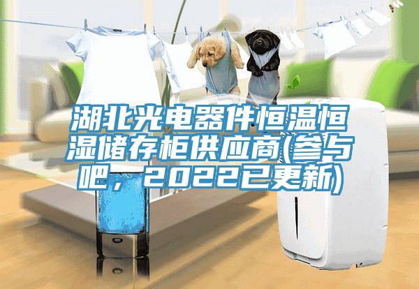 湖北光電器件恒溫恒濕儲存柜供應商(參與吧,2022已更新)