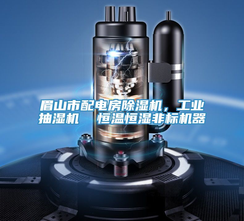 眉山市配電房除濕機(jī)，工業(yè)抽濕機(jī)  恒溫恒濕非標(biāo)機(jī)器