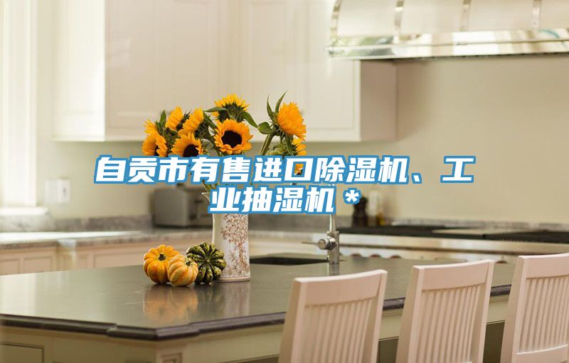 自貢市有售進(jìn)口除濕機、工業(yè)抽濕機*