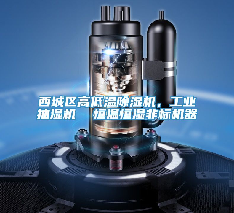 西城區高低溫除濕機，工業抽濕機  恒溫恒濕非標機器