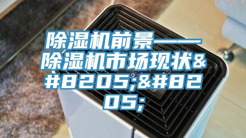 除濕機前景——除濕機市場現狀