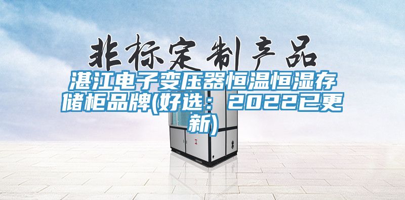 湛江電子變壓器恒溫恒濕存儲柜品牌(好選:2022已更新)