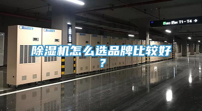 除濕機(jī)怎么選品牌比較好?