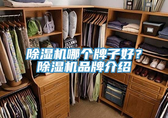 除濕機哪個牌子好?除濕機品牌介紹