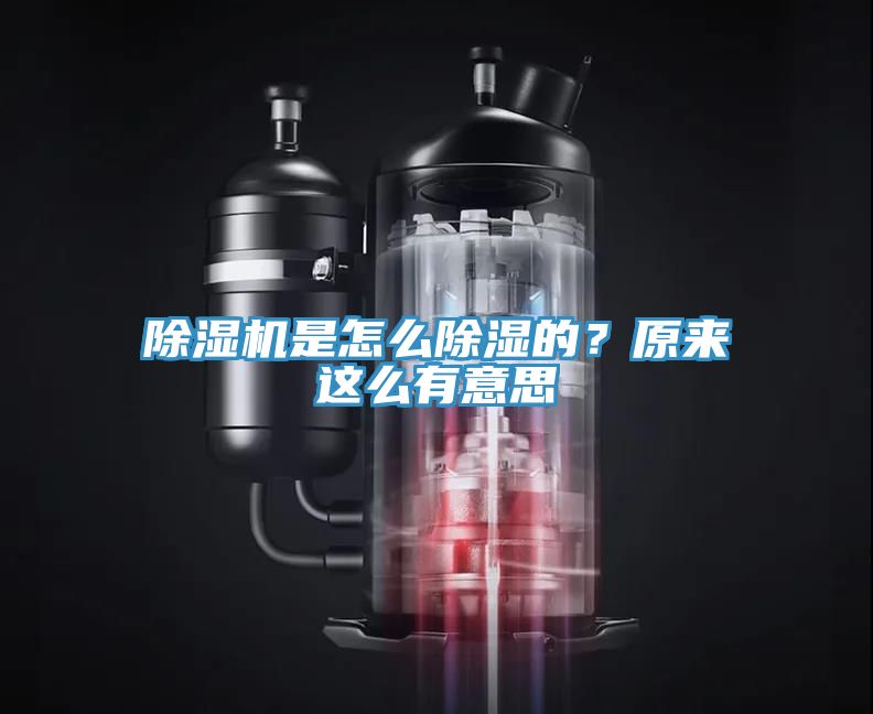 除濕機是怎么除濕的？原來這么有意思