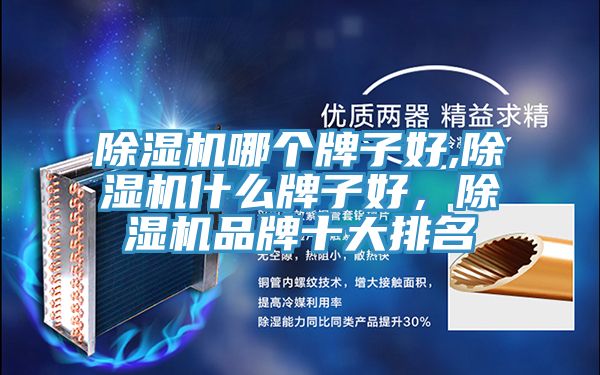 除濕機哪個牌子好,除濕機什么牌子好，除濕機品牌十大排名