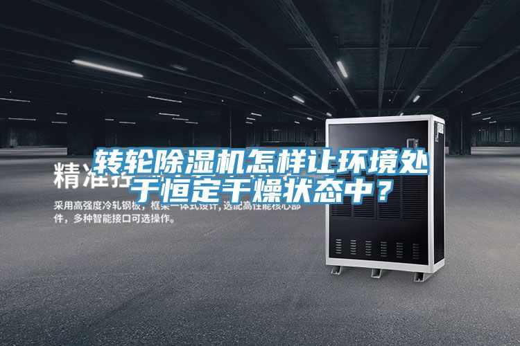 轉輪除濕機怎樣讓環境處于恒定干燥狀態中？