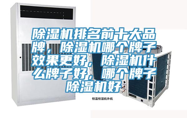 除濕機(jī)排名前十大品牌,除濕機(jī)哪個(gè)牌子效果更好,除濕機(jī)什么牌子好,哪個(gè)牌子除濕機(jī)好