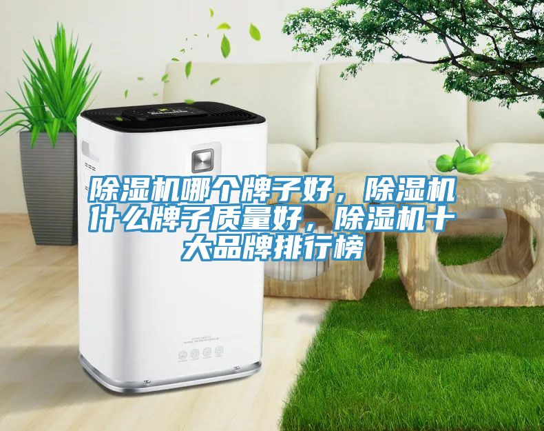 除濕機哪個牌子好,除濕機什么牌子質量好,除濕機十大品牌排行榜